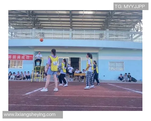 北京排球队战术创新引领排球新潮流排名飙升至新高