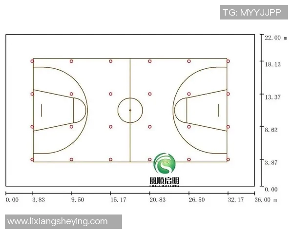 北京羽毛球队力量表现数据分析揭示运动员潜力与训练效果的关系