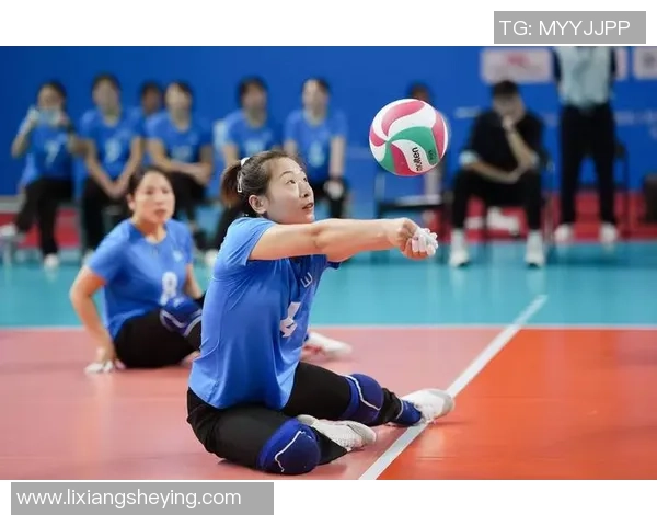 排球纪实：记录广州排球队的逆袭之旅