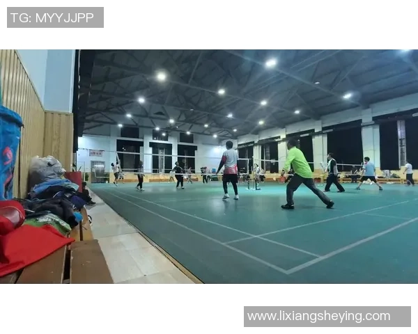 2026羽毛球战术排行榜：重庆羽毛球队位居第5名