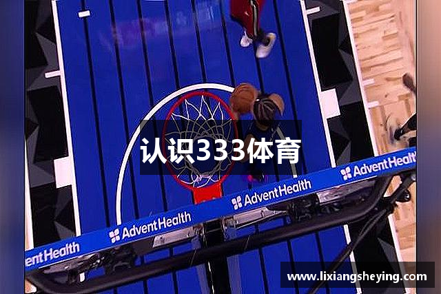 认识333体育